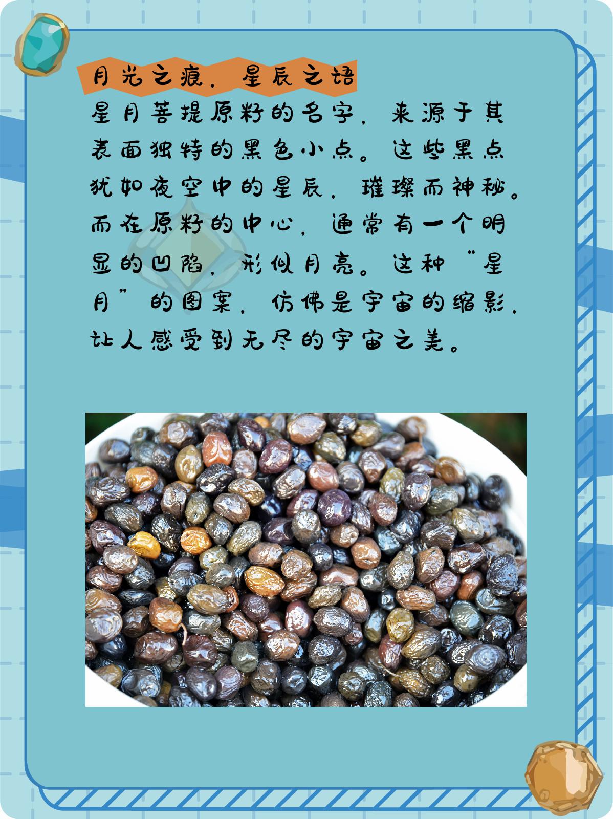 星月菩提原籽的样子 1,自然之韵,原始之美 星月菩提原籽,是大自然的