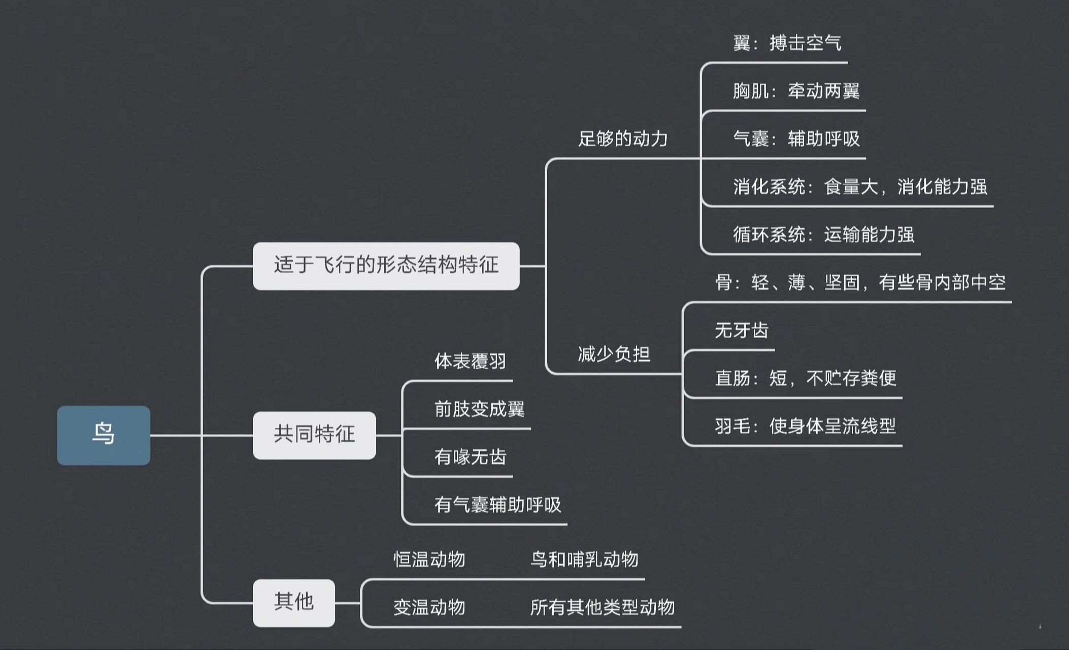 爬行类思维导图图片