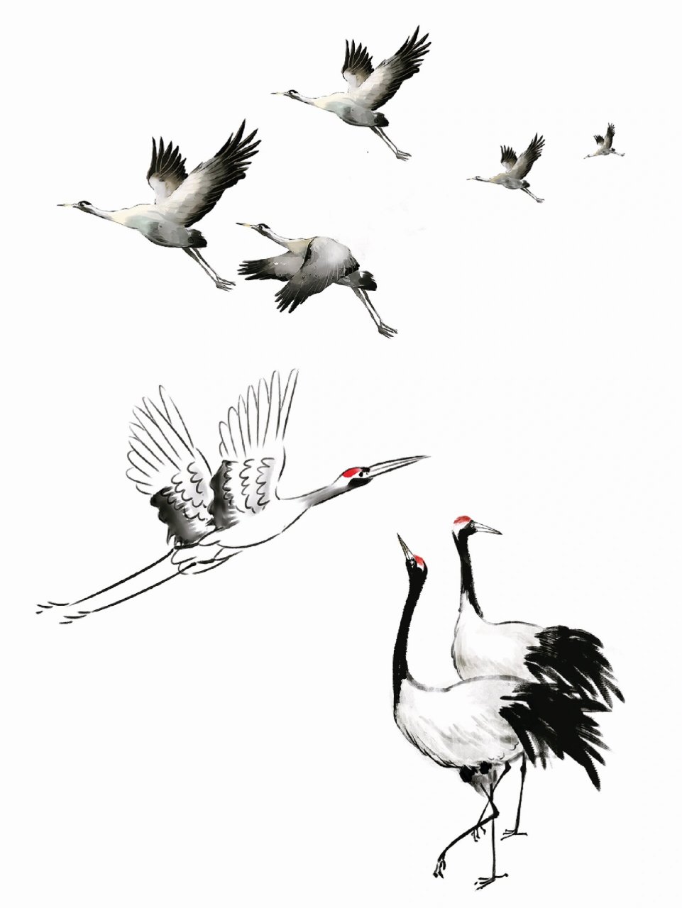 水墨动物合集丨国画写意动物免扣  94  哈喽  宝子们 今天分享一组