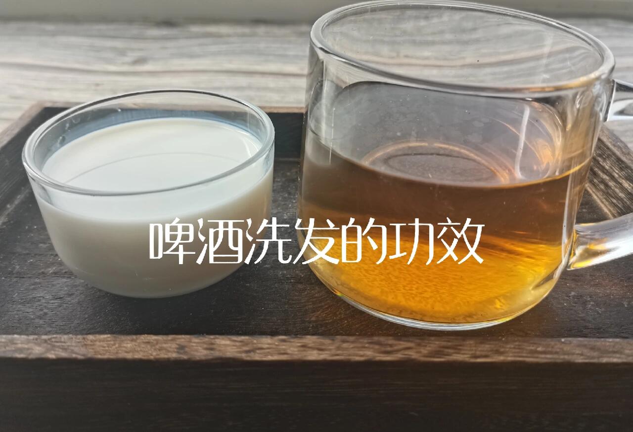 啤酒洗发的功效 啤酒洗头具滋养头发,防脱发等好处