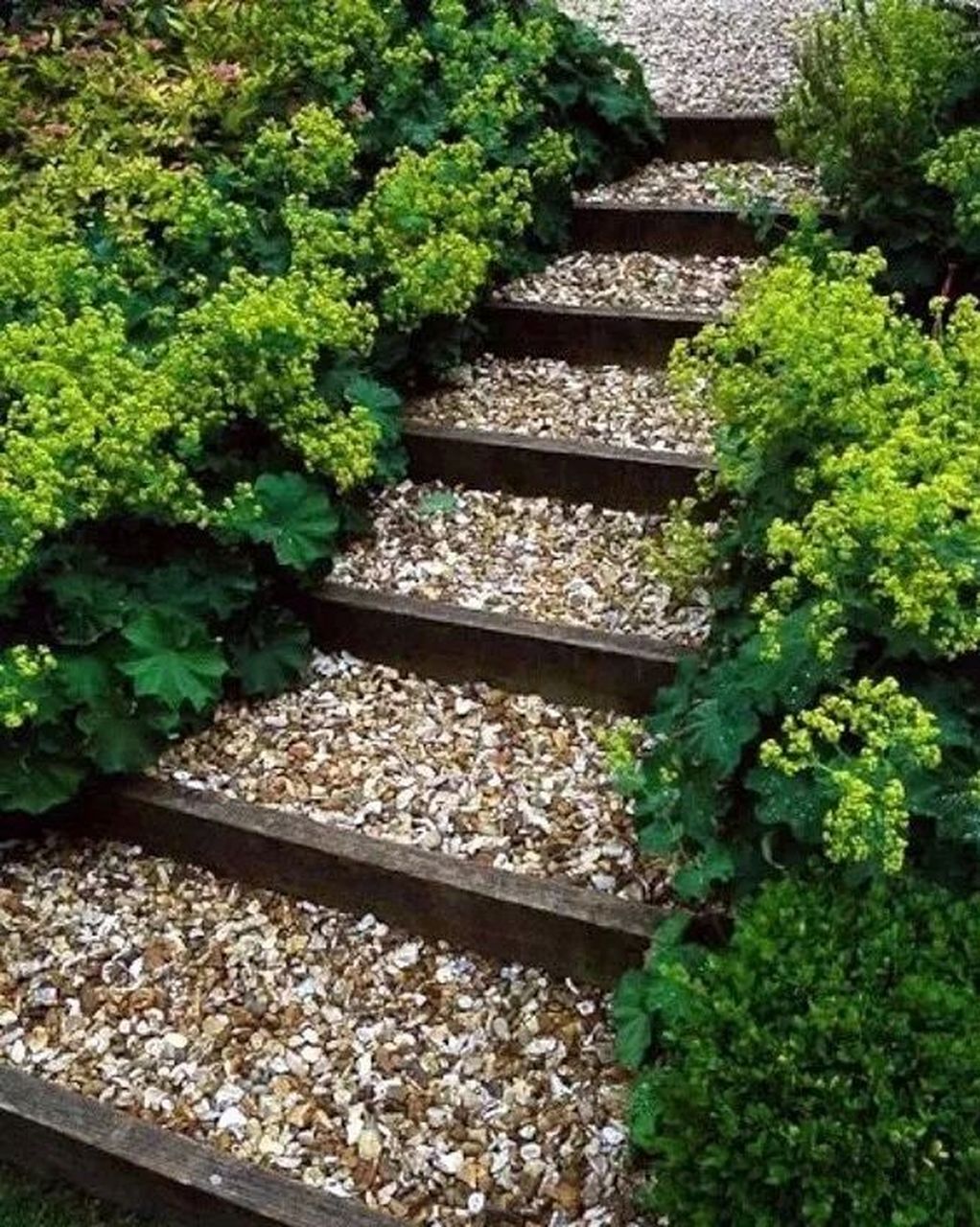 庭院台阶【07】各种生态台阶形式 各种生态台阶形式: 此类台阶形式更