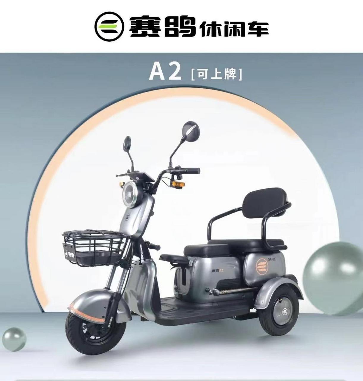 新国标电动车 赛鸽电动休闲三轮车