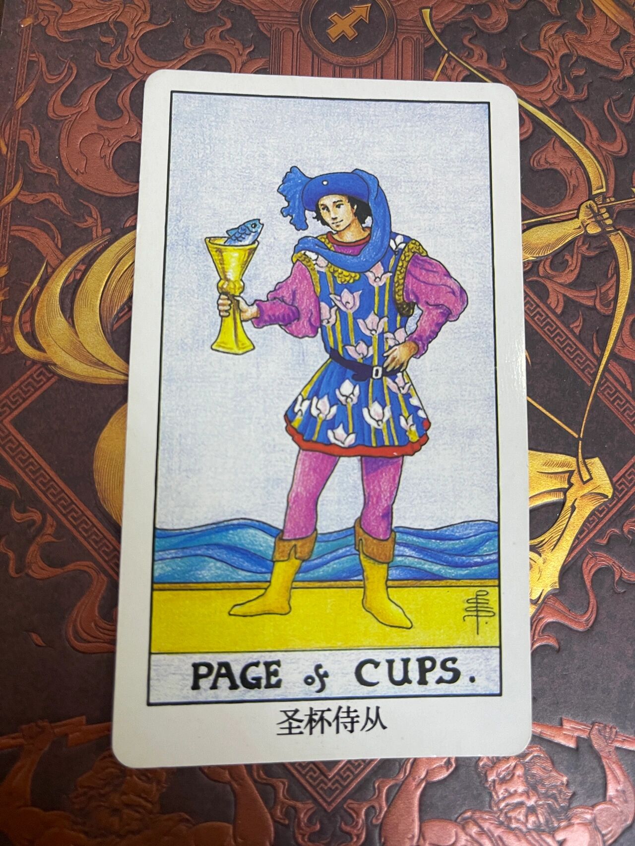 今日日运塔罗牌"圣杯侍从" 你看到什么想到什么?