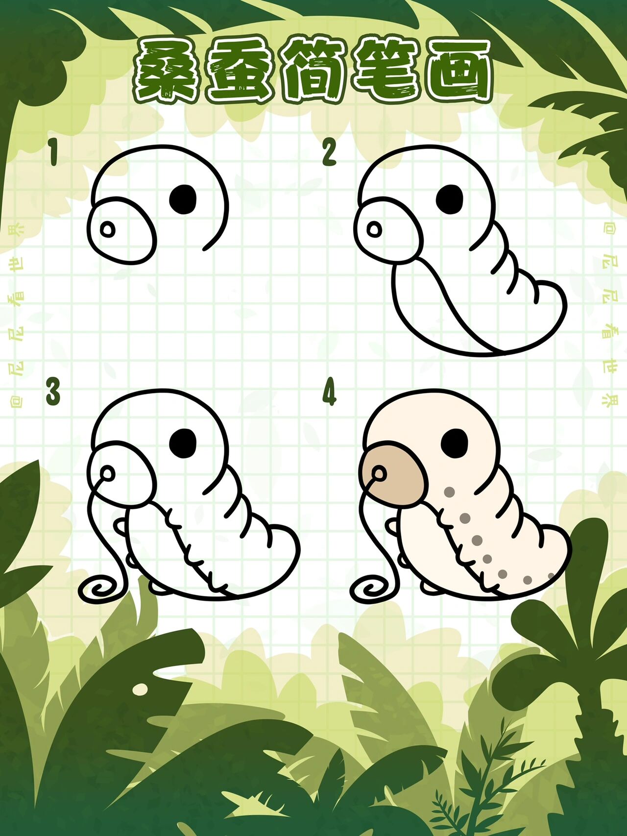 是一种以桑叶为食料的鳞翅目泌丝昆虫,属无脊椎动物,节肢动物门 蚕蛾