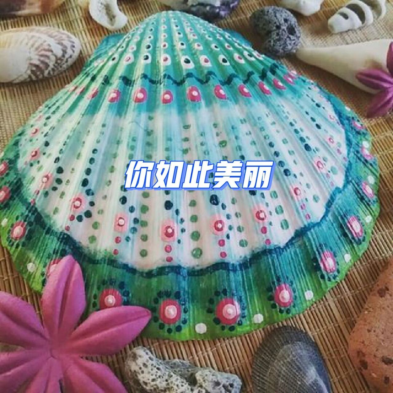 分享一组扇贝壳子手绘,可能很多人没见过这 ##diy手工制作# ##画画