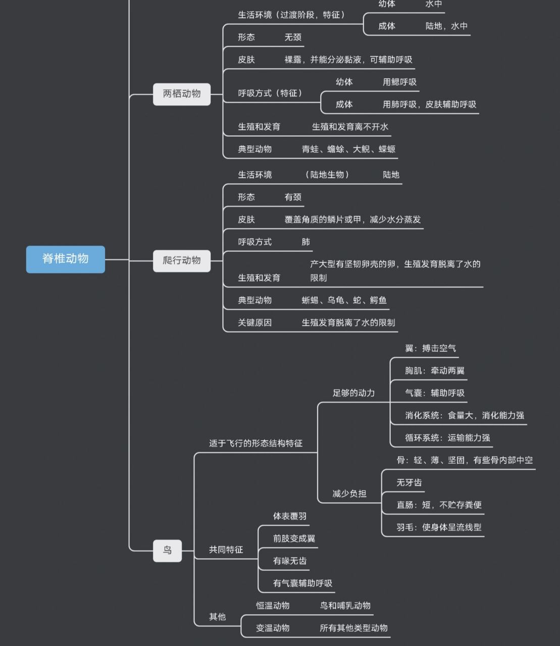 爬行类思维导图图片