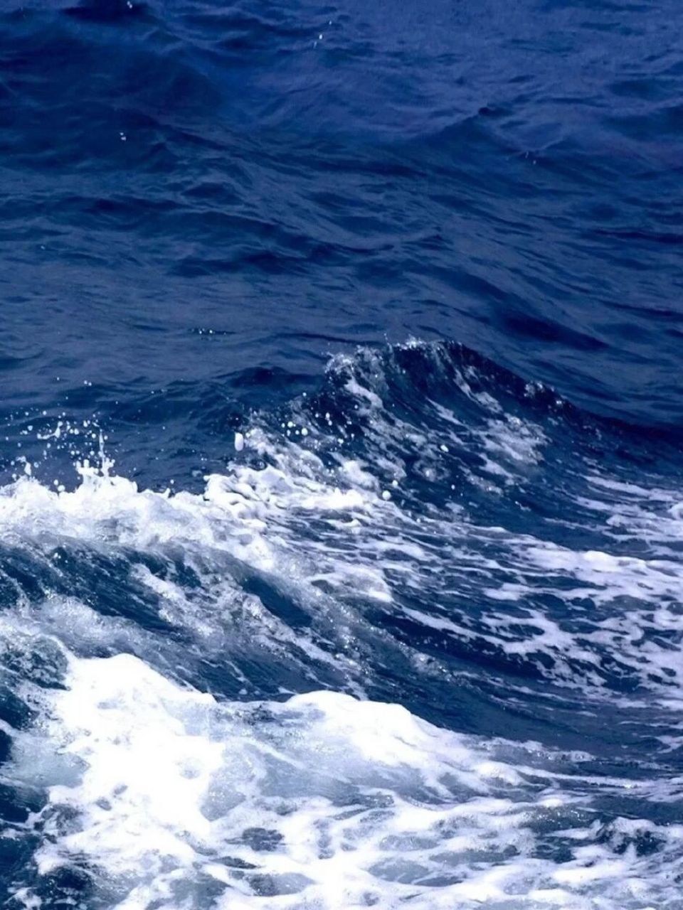 你是自由的海浪98 5.蓝色是自由和无限97 6."abou