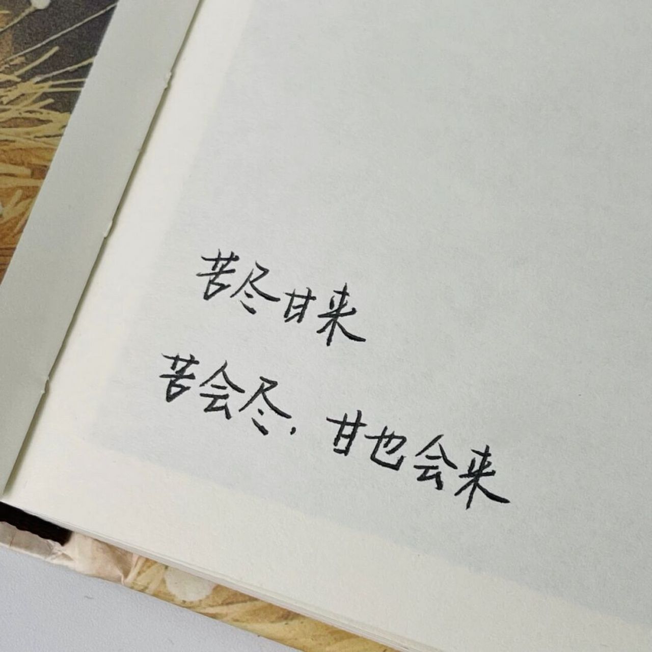 私藏版朋友圈生活状态文案|简约又高级 97苦尽甘来,苦会尽,甘也会来