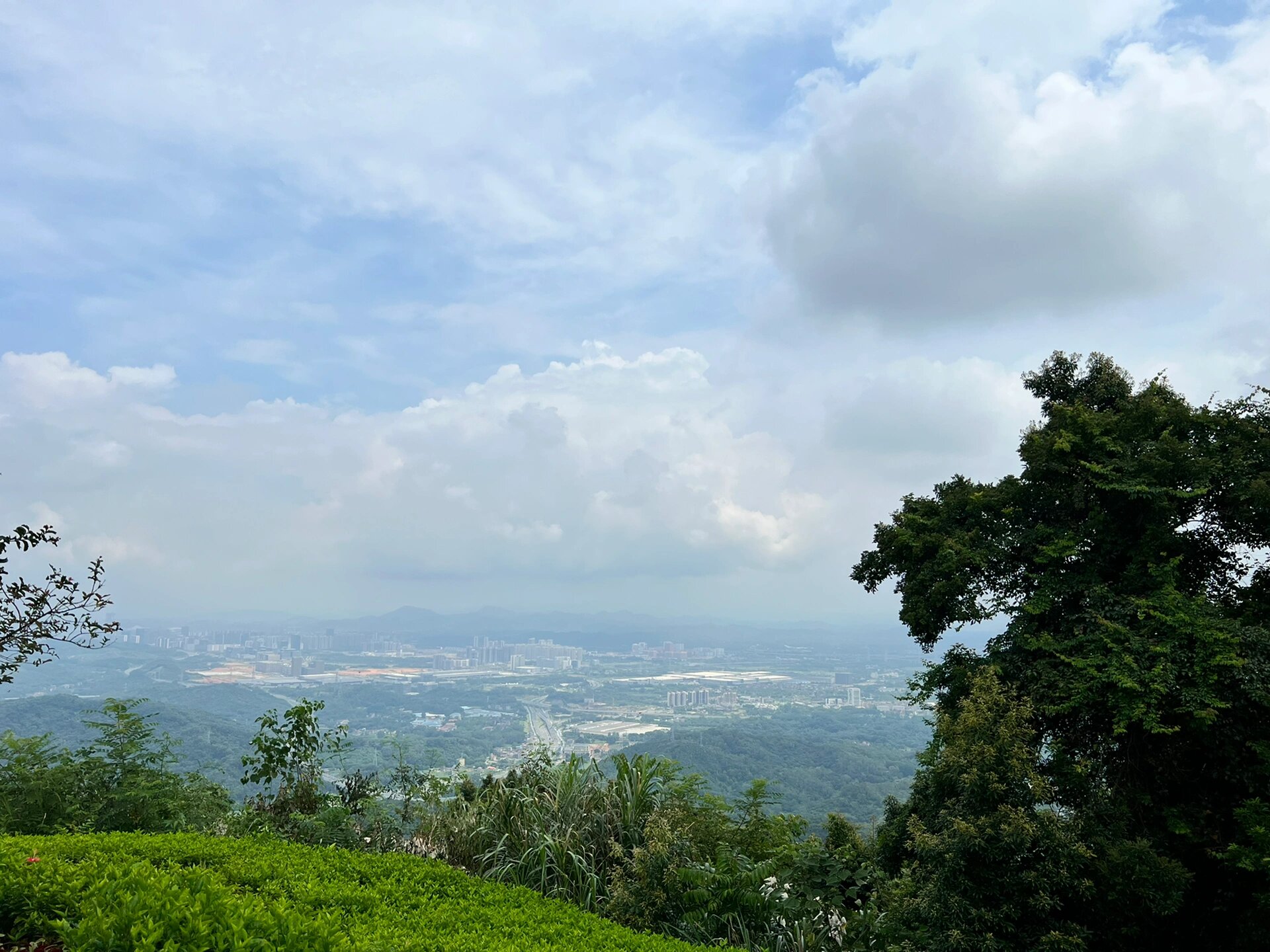 广州油麻山|徒步小白也能登顶 油麻山森林公园位于广州市黄埔区,海拔
