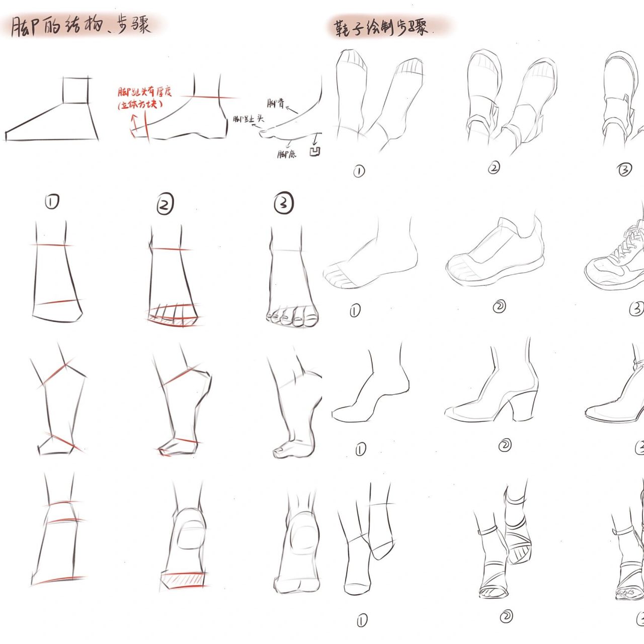 脚和鞋子的画法|详细步骤 想要画好鞋子,就要清楚的了解脚的结构!