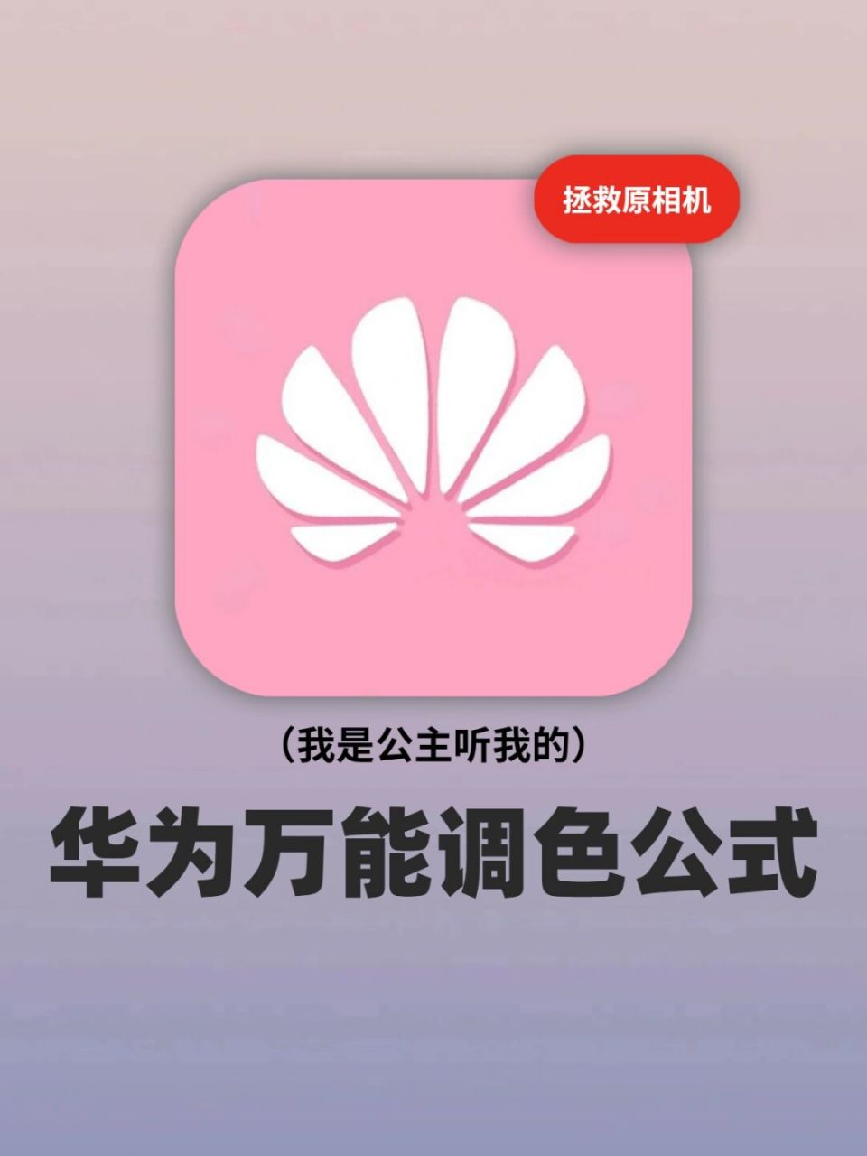 97华为相册这样调色真的太绝啦,感觉照片好看程度提升一百倍!