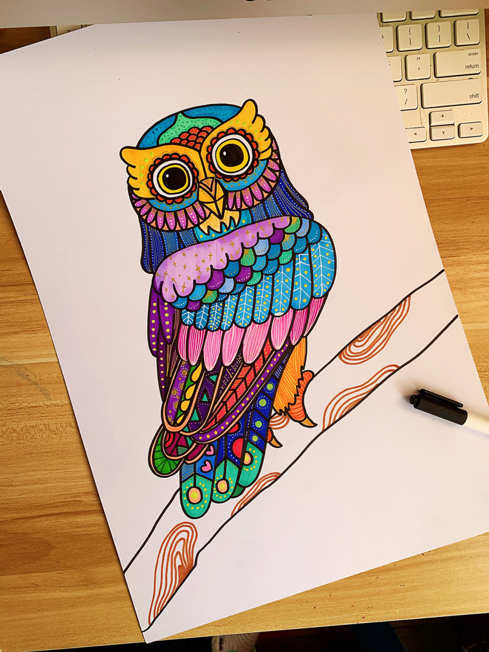 儿童绘画课程教学—《猫头鹰》 这次换了荷兰白卡 上色更加流畅 颜色