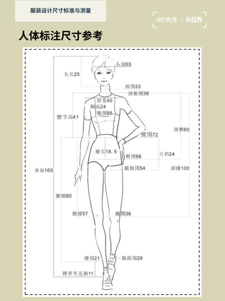 人体测量示意图图片