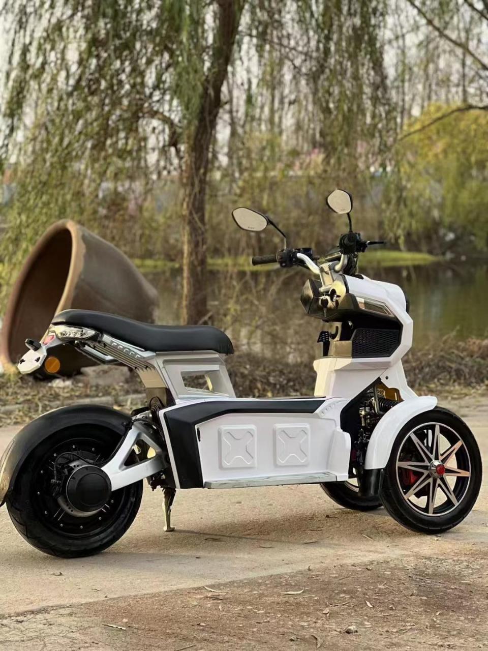 逗哈牌电动倒三轮,经典航空铝车身,前置独.