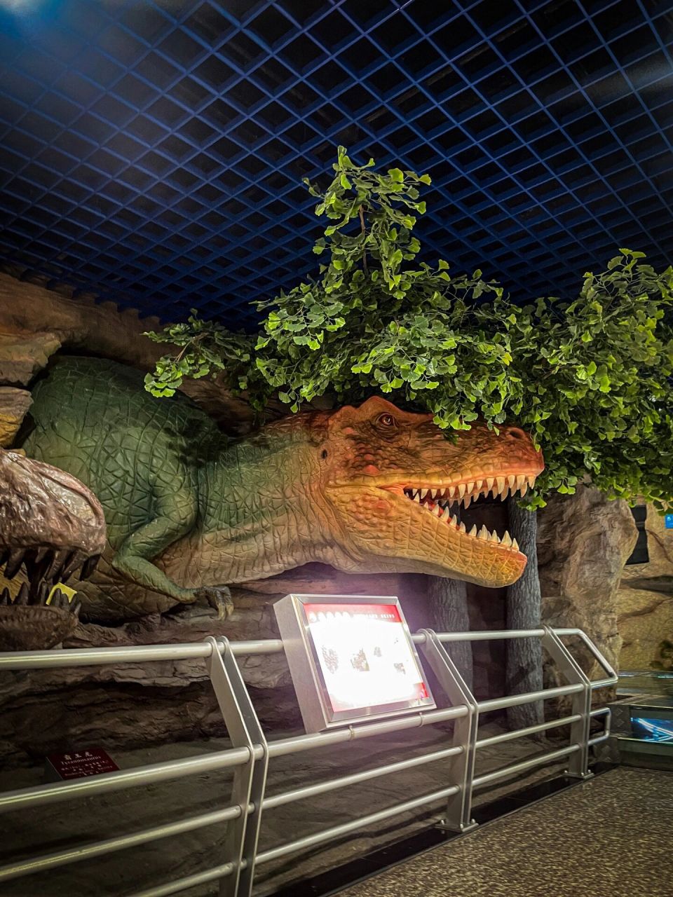 黑龙江省地质博物馆 7215黑龙江省地质博物馆坐落在哈尔滨市红旗