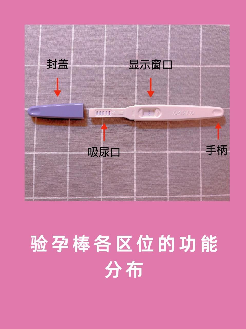 女性健康|验孕棒使用方法 姐妹们,你们会使用验孕棒嘛,有没有不知道