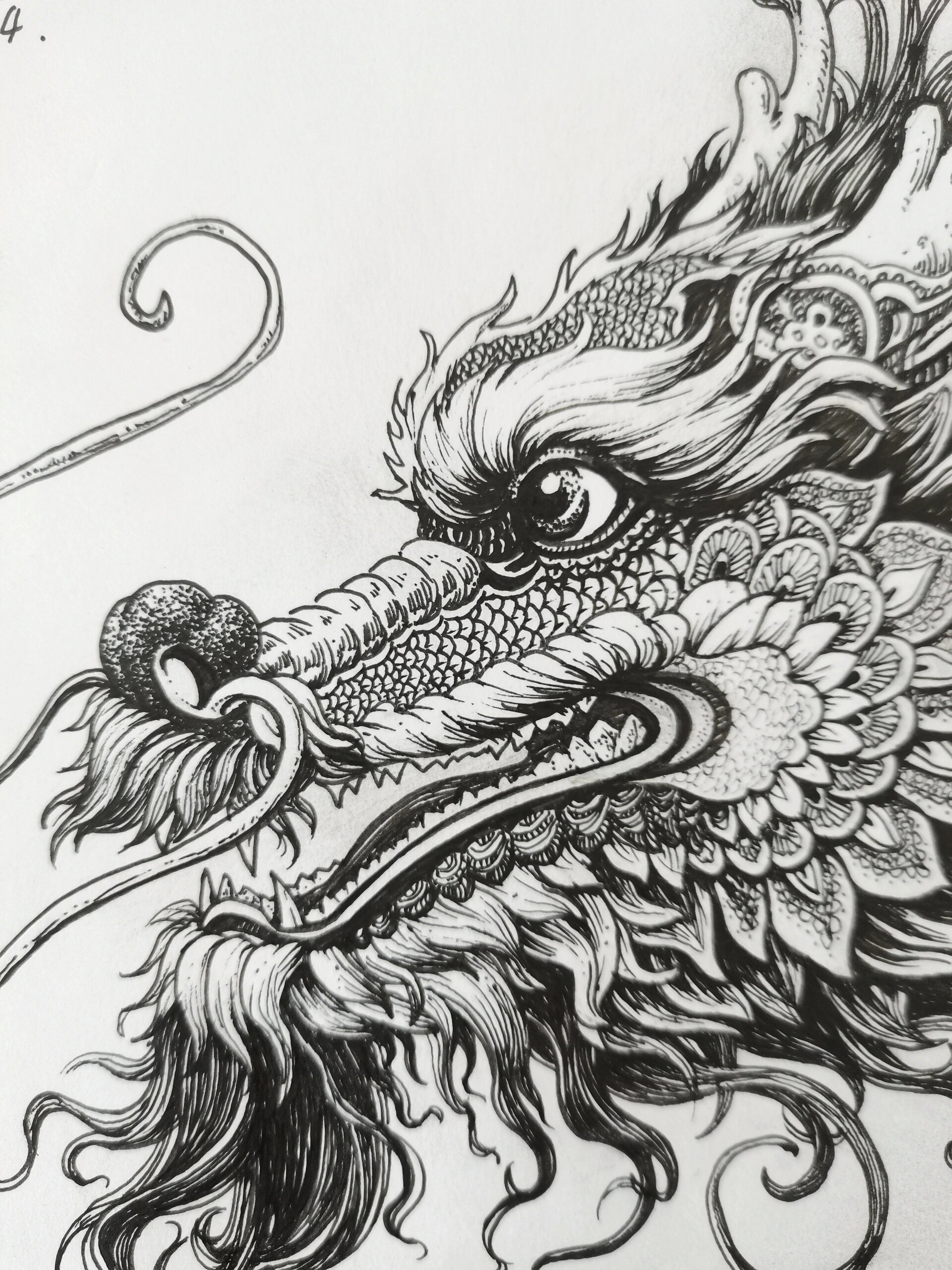 龙·原创手绘(完成稿步骤图