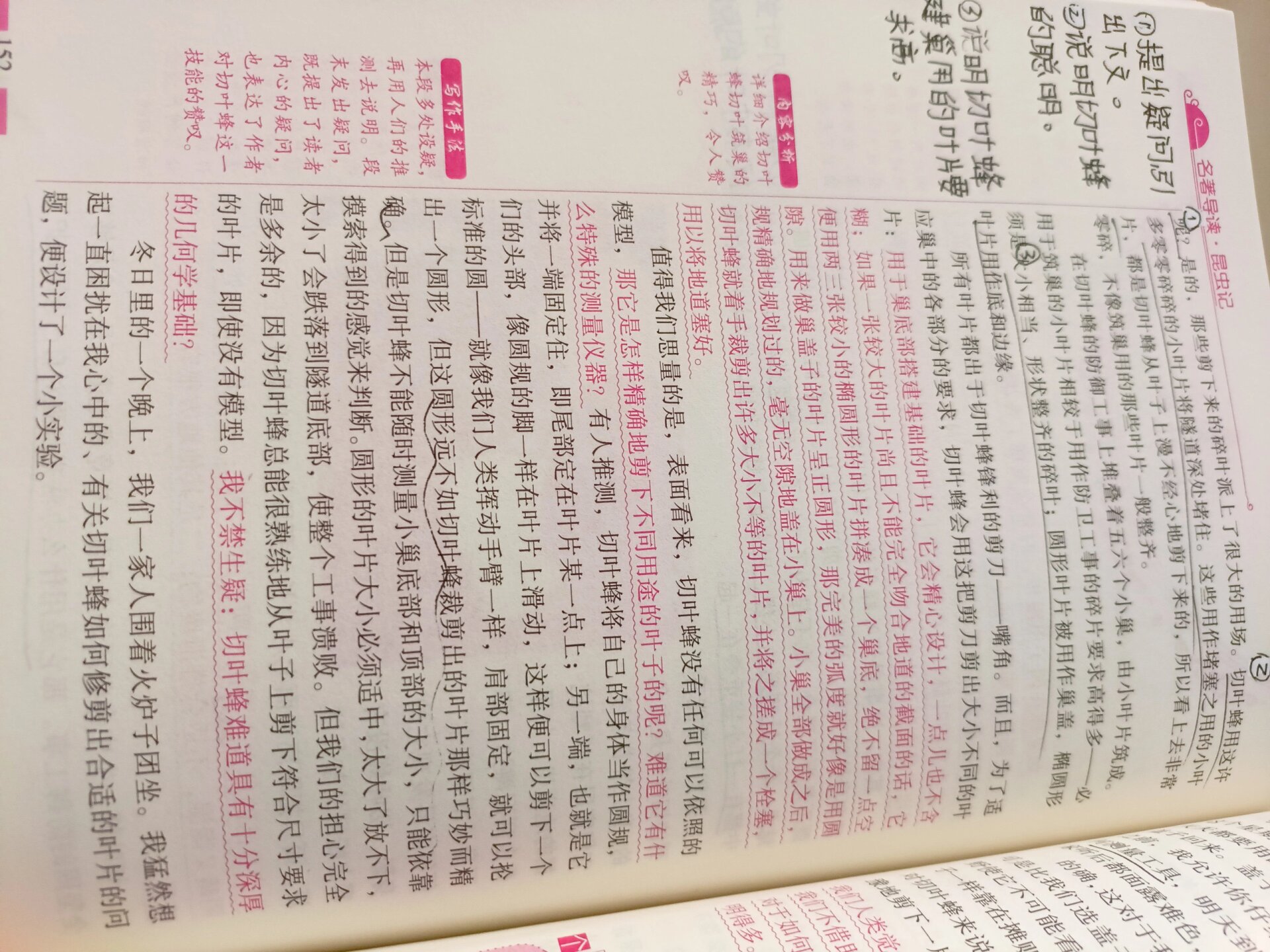 《昆虫记》第十五章切叶蜂