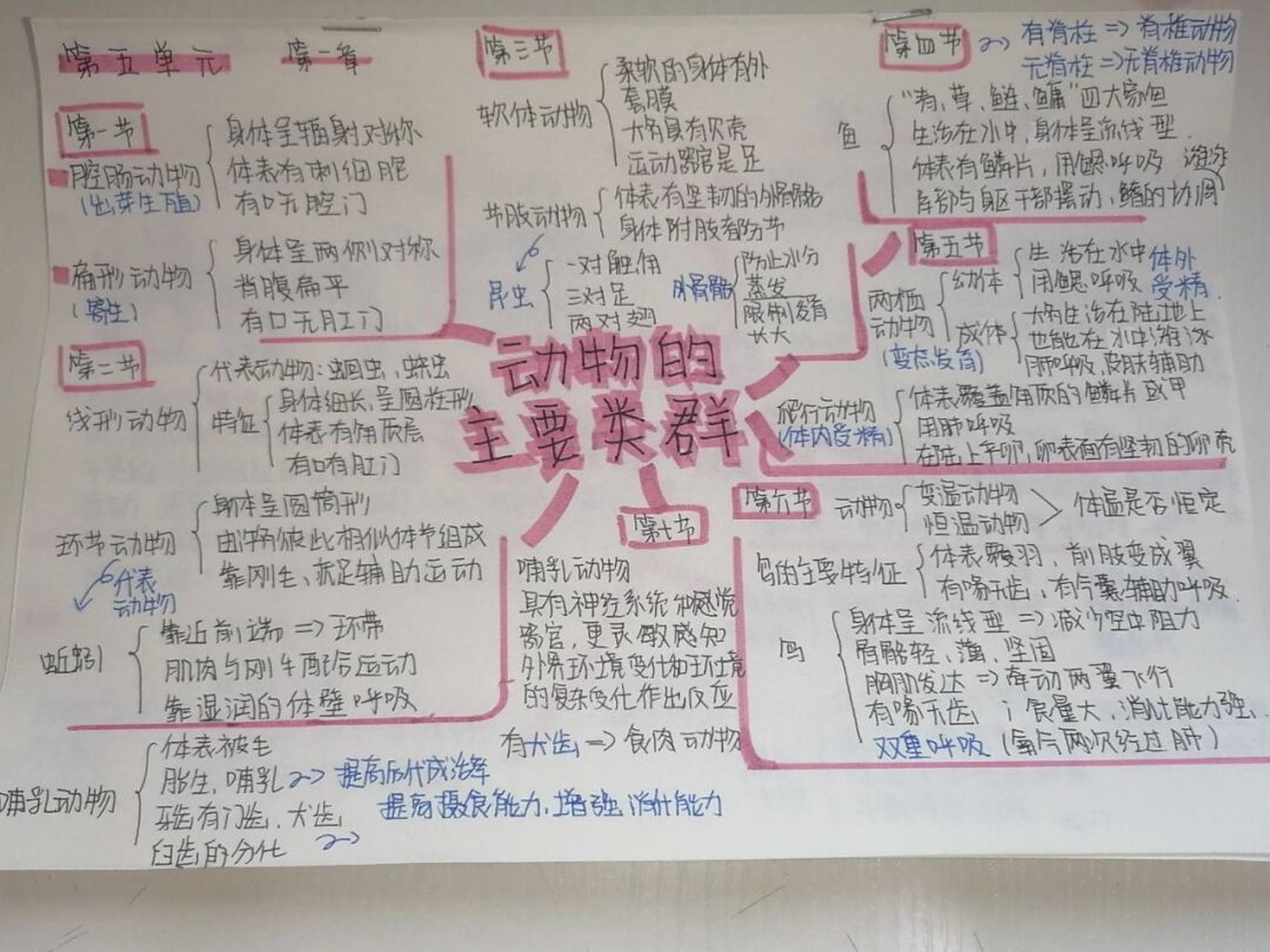 八上生物思维导图