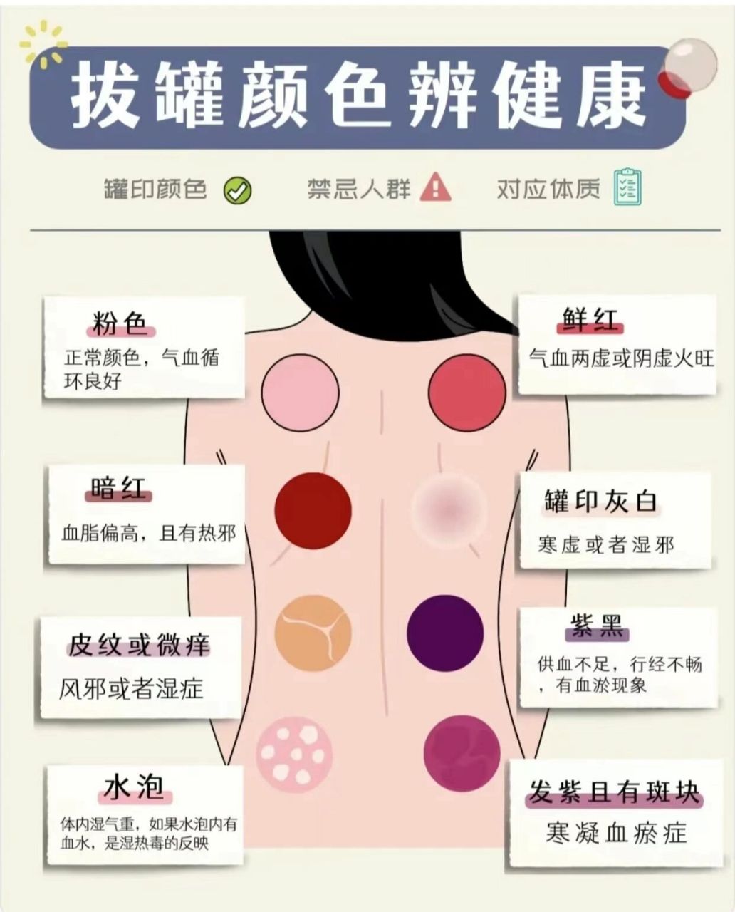 拔火罐对应器官图男性图片