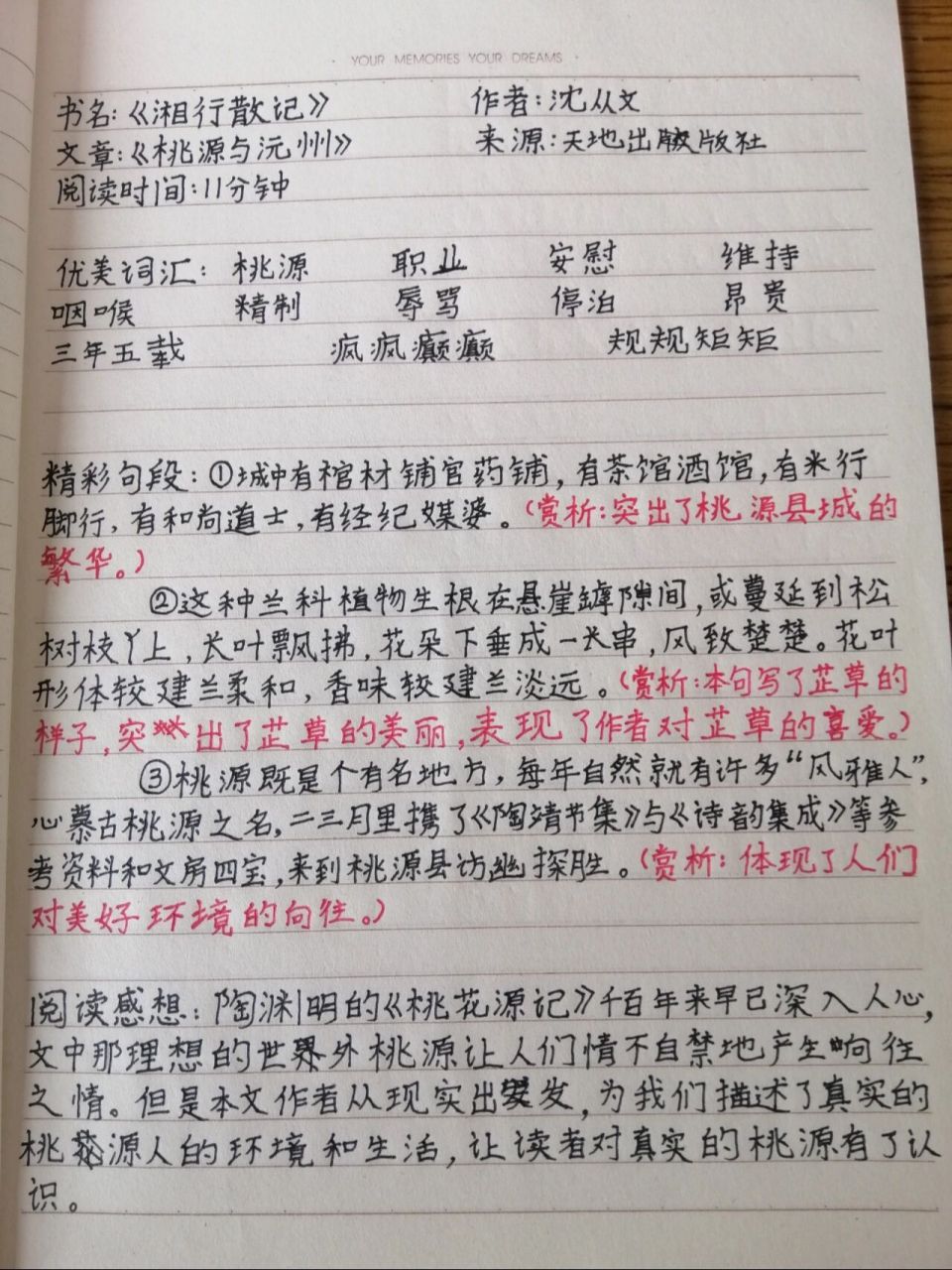《《湘行散记》读书笔记