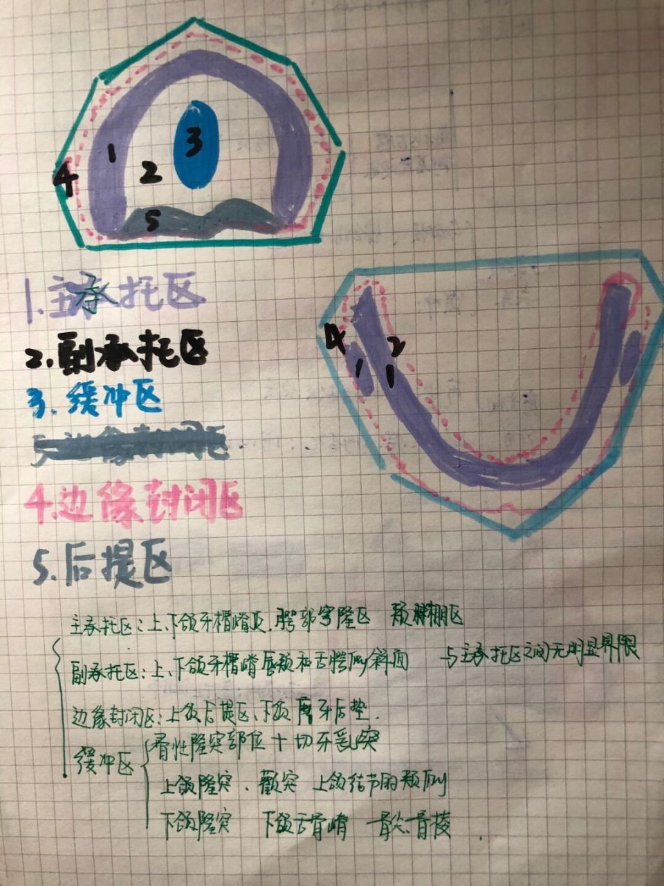 无牙颌功能分区