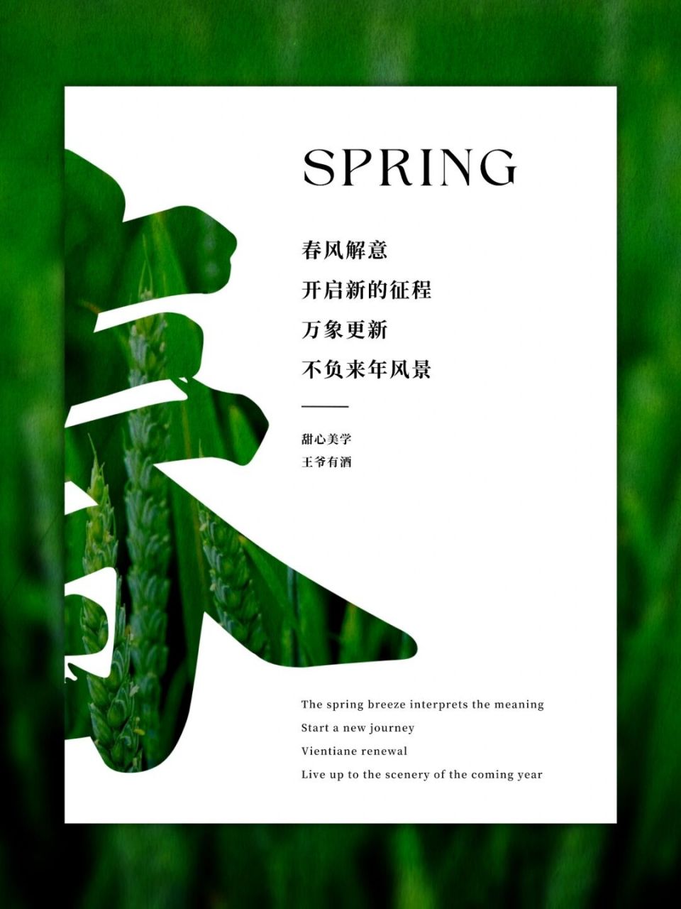 春分海报|春分文案|24节气|朋友圈美学 #20°的春日plog# 	 文案分享