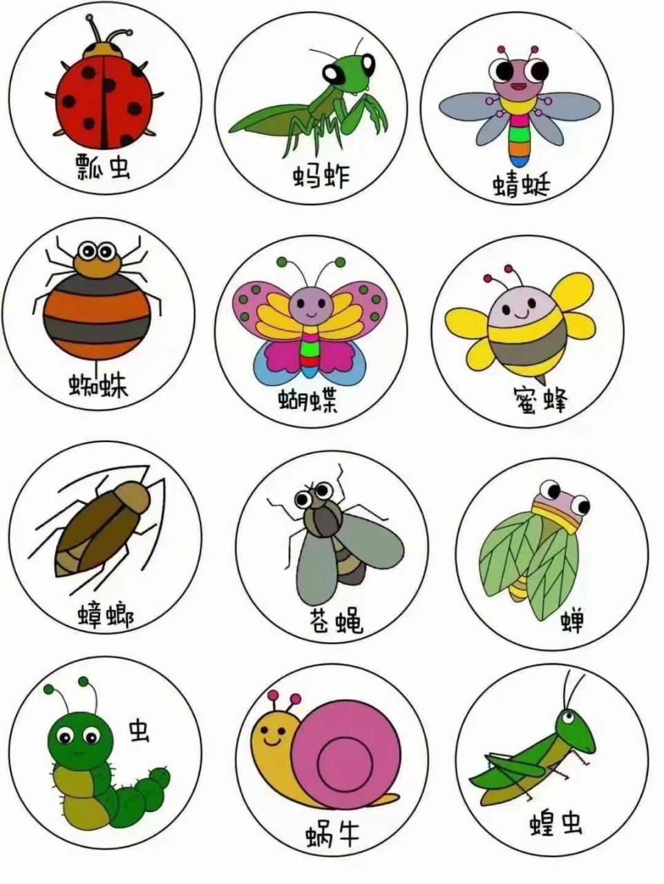 益虫害虫分类[爱心] 【今日分享】 益虫害虫分类