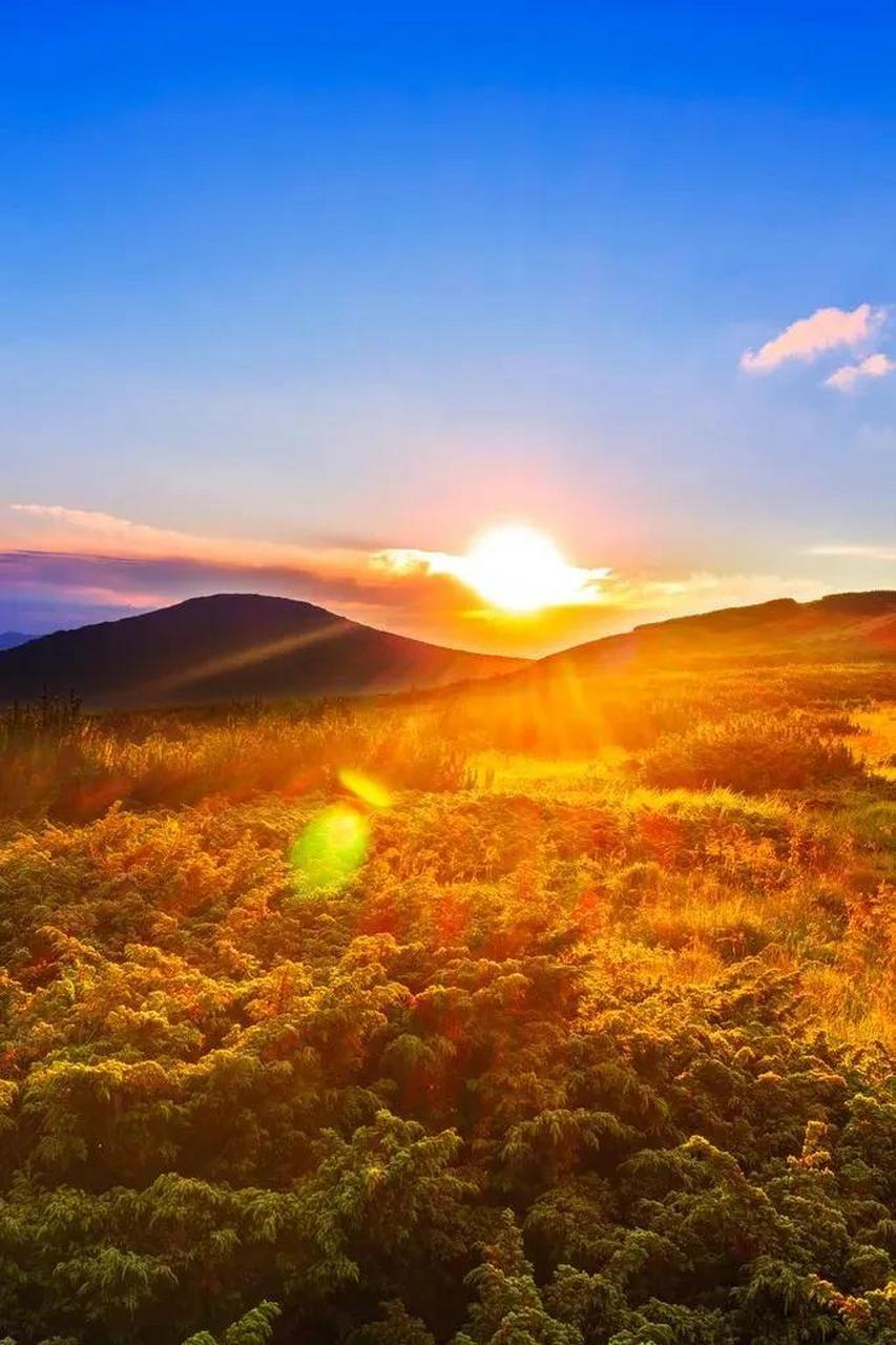 (晨光) 每一个早晨都承载着无数人的梦想和希望,每一个早晨也都会有