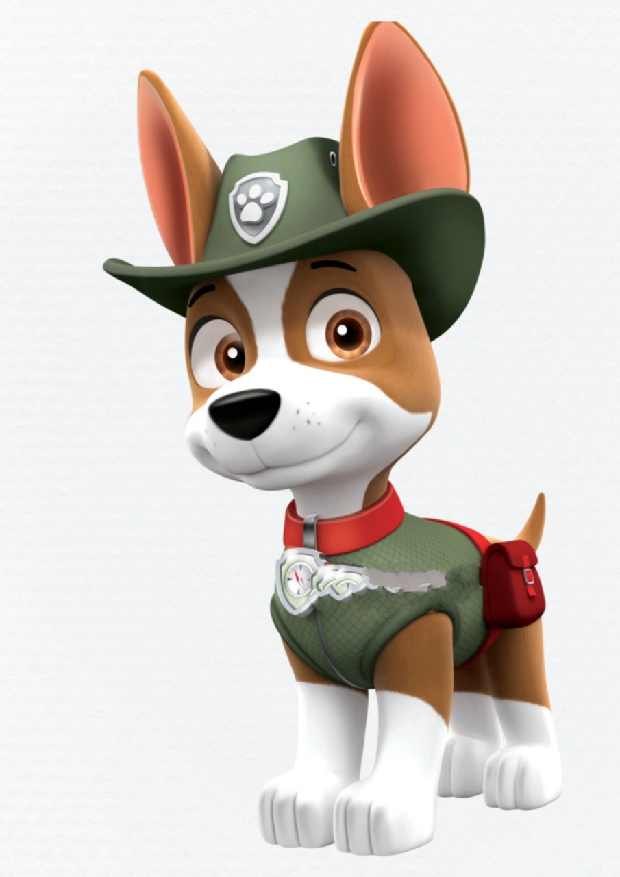 7汪汪队小克手绘教程|附线稿|可打印|免费下 小克(tracker) 品种:吉