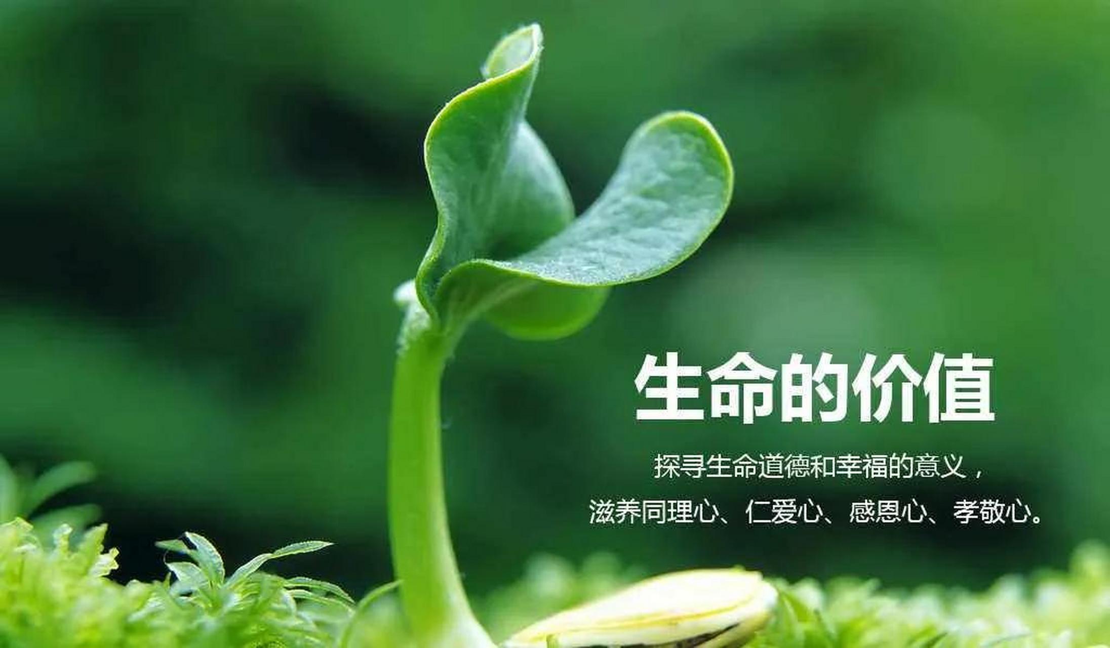 生命的意义在于人与人之间的相互照亮,这句话深刻地表达了人类存在的