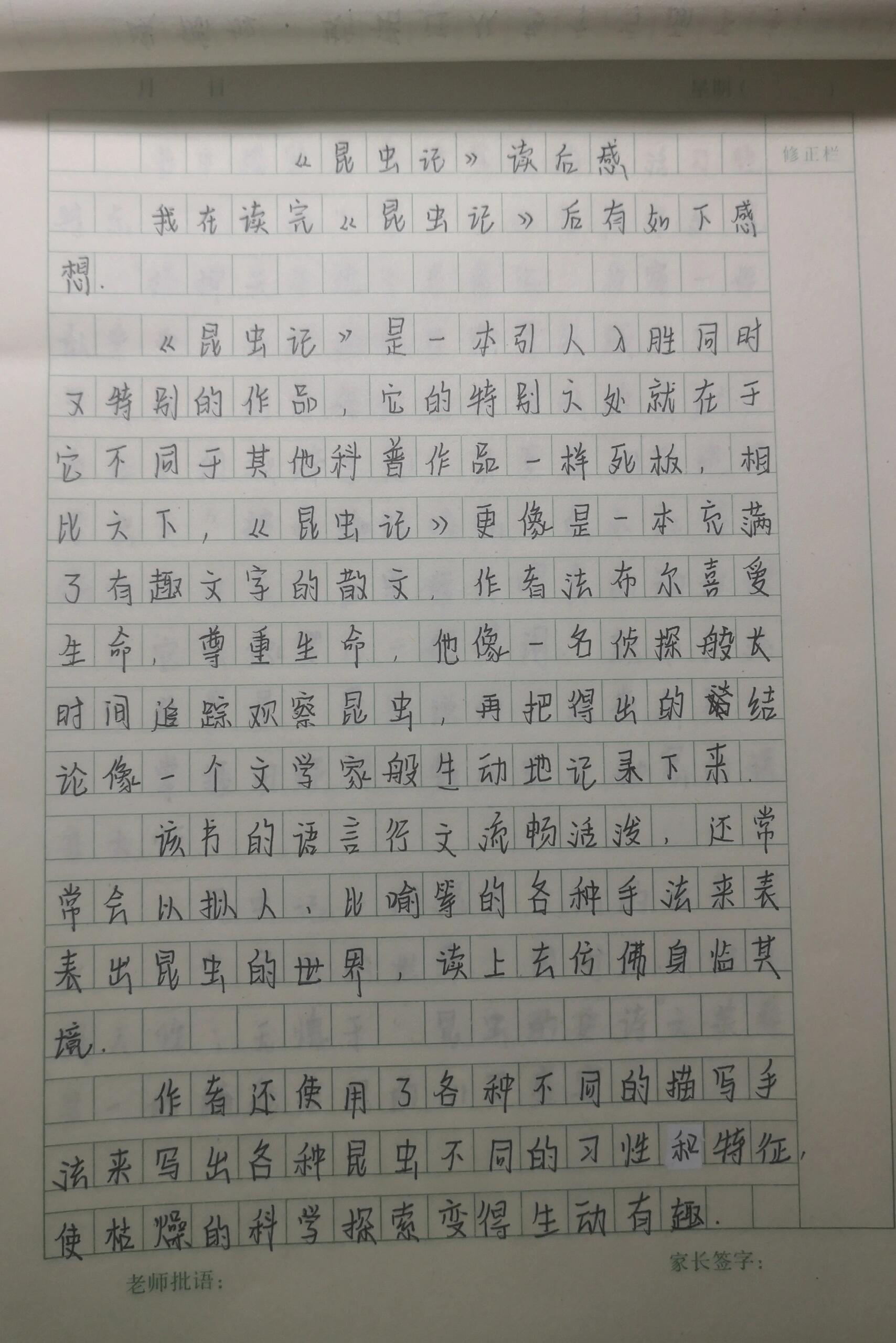 昆虫记读后感200字图片