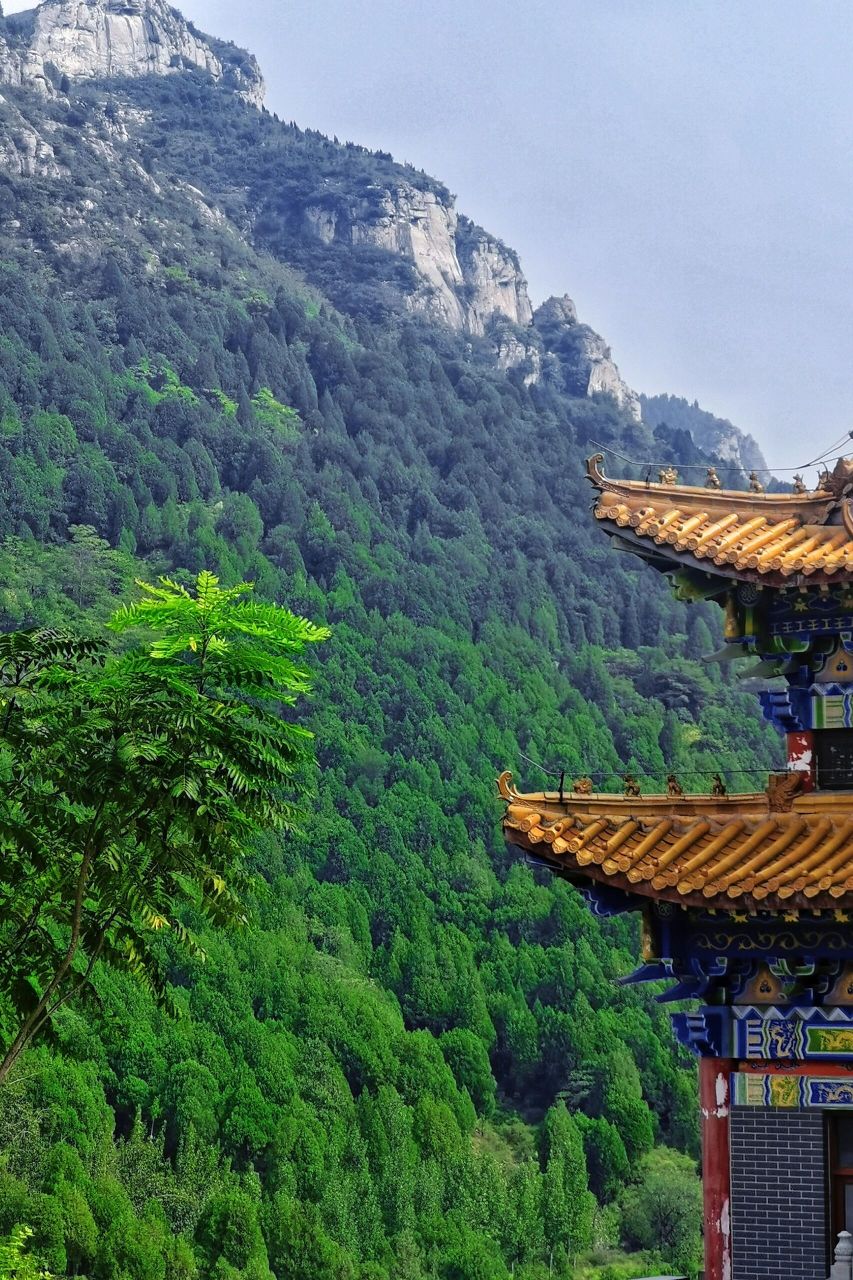 义净寺|一座隐藏在山上的寺庙 门票 不需要门票,免