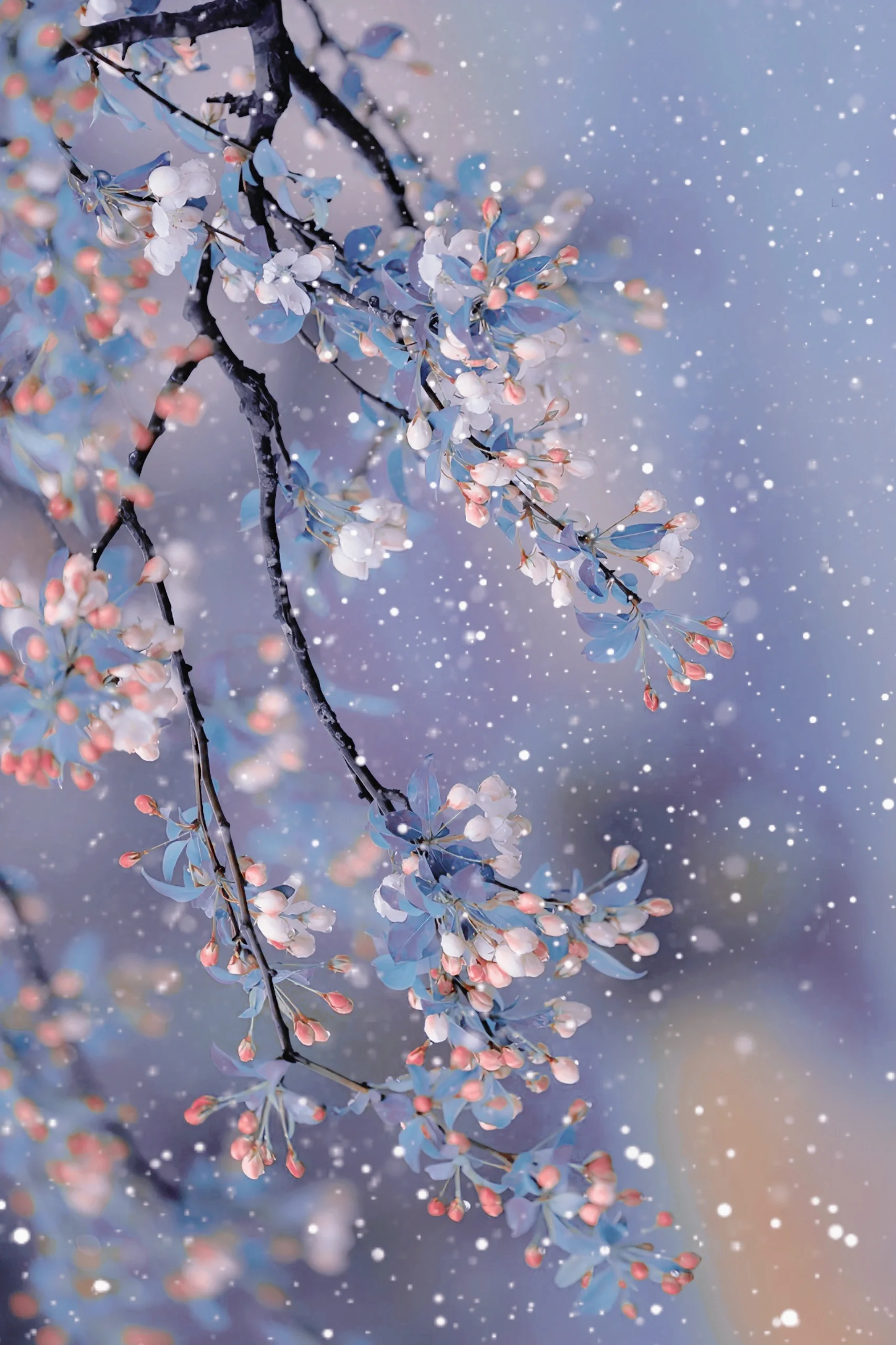 凌晨四点  我看见海棠花未眠
总觉得这时候  你应该陪着我身边
凌晨五