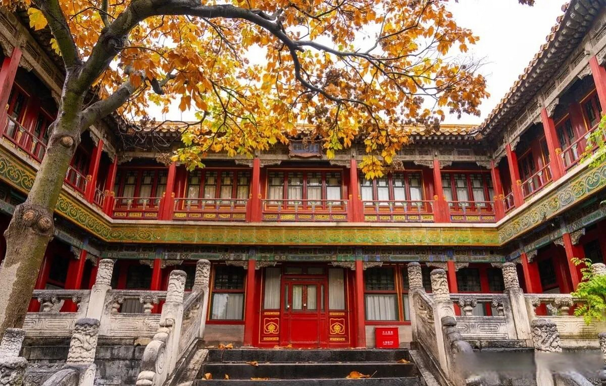 实拍深秋雨中北京故宫御花园 五彩斑斓满园秋色 2023年11月5日,北京