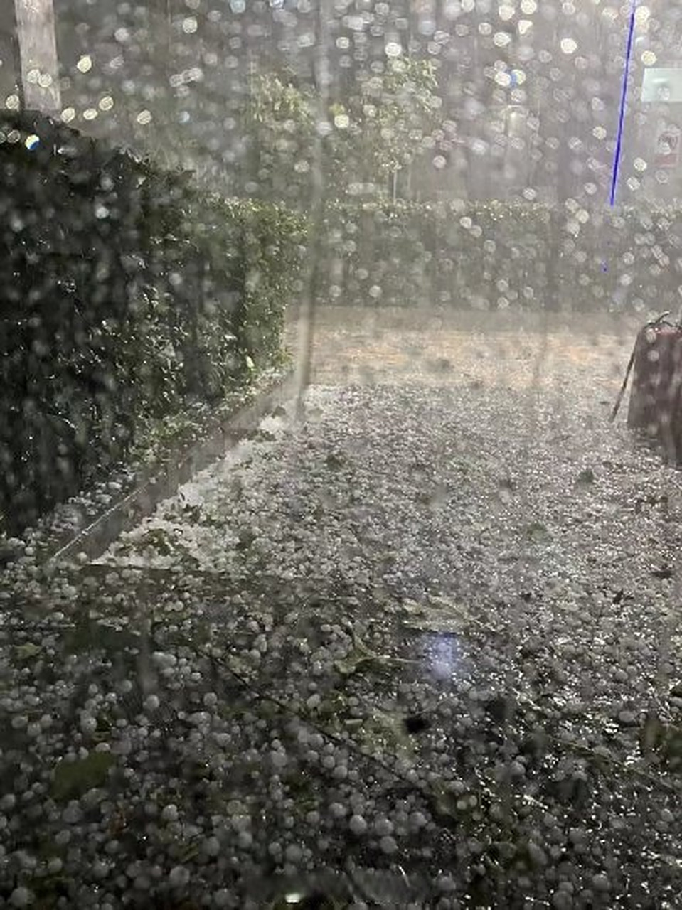 看起来朝阳区的冰雹比昌平的还要大,对中心城区来说这种冰雹不多见