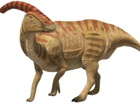 副栉龙——自带"警报器"的恐龙