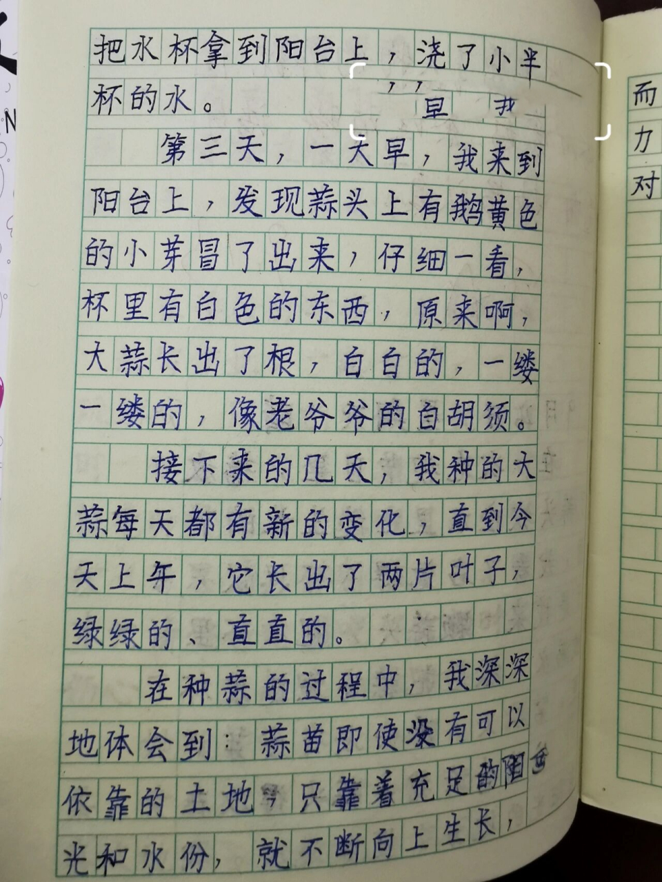 三年级上册语文习作—日记分享  优秀作文分享