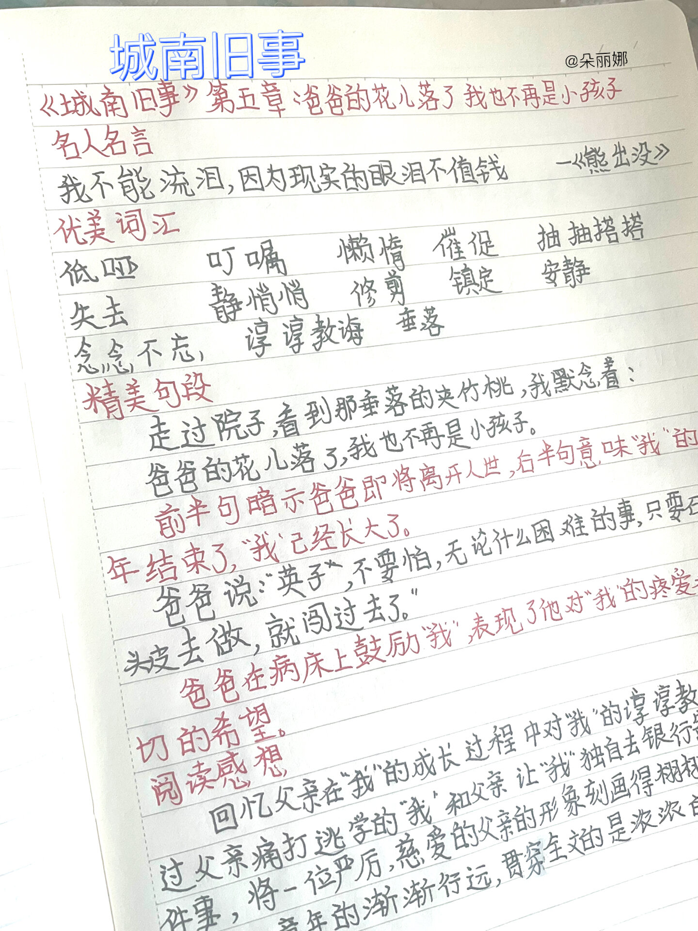 第五章《爸爸的花儿落了 我也不再是小孩子 城南旧事第五章