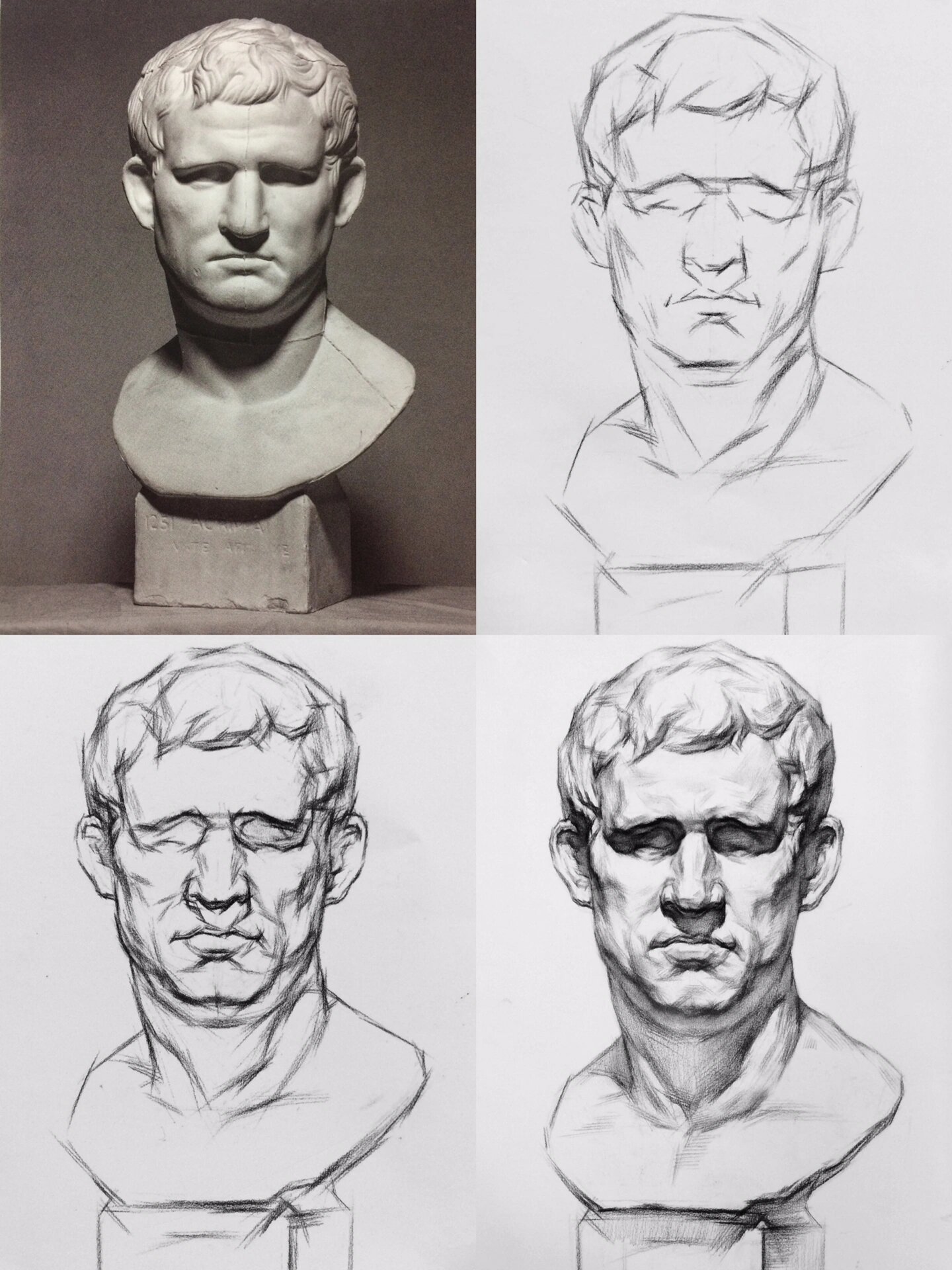 石膏头像 详细步骤图解说,画画真的会上瘾!