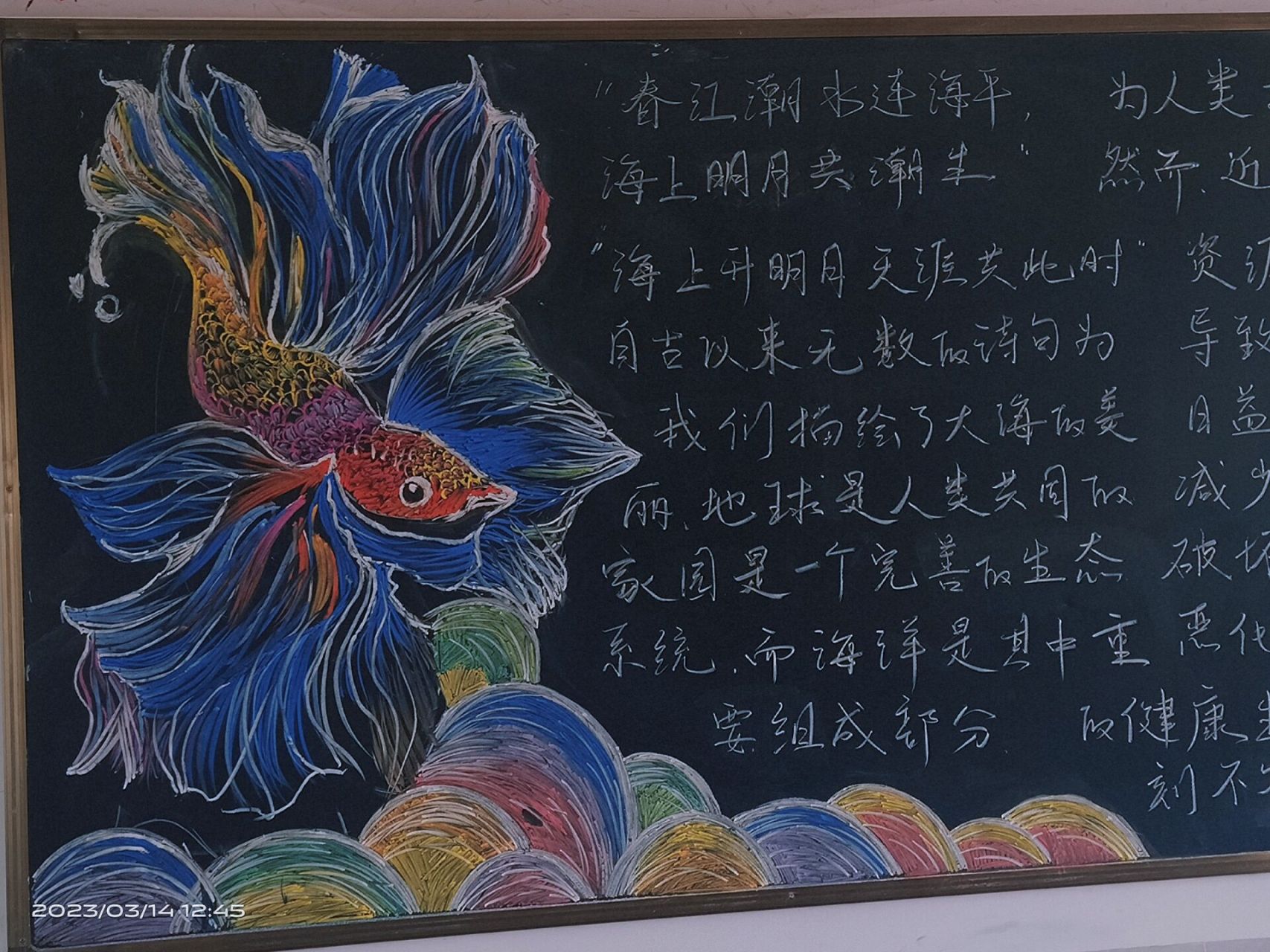 倡生态文明,享低碳环保黑板报   反复改了一点点