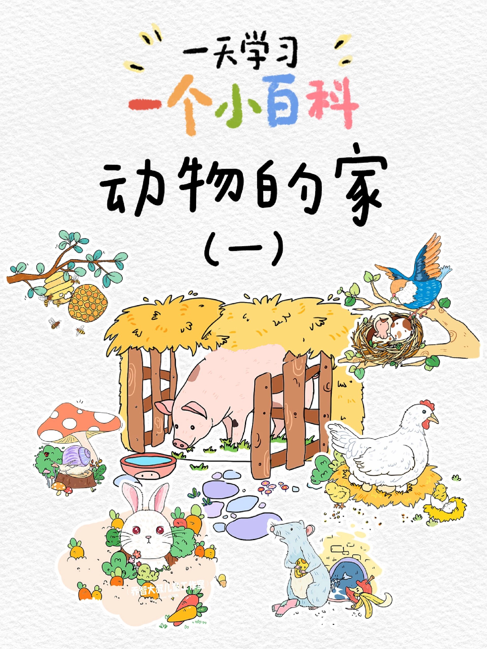 一天一个小百科—动物的家(一) 家是世界上 最温暖的地方7715 一