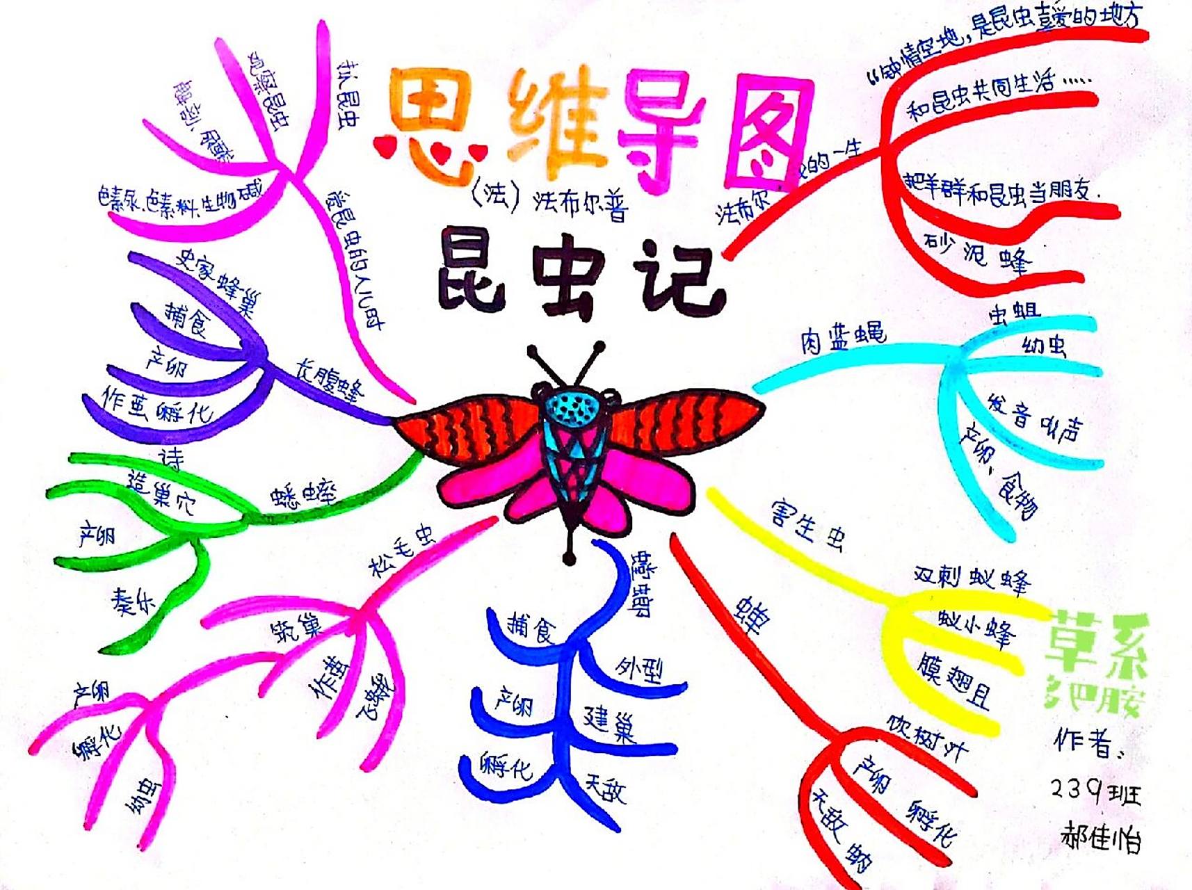 八上必读外书昆虫记思维导图来了哦 我惊羡人间烟火花开满,偏偏走不到