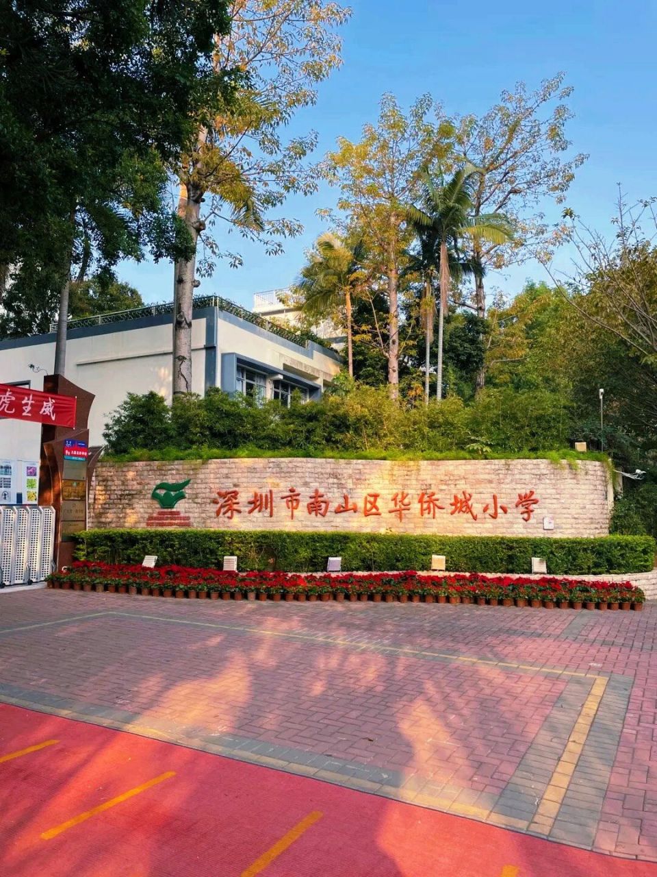 看看这周边的环境,多惬意,华侨城到处绿树成荫,特别适合生活,在这里