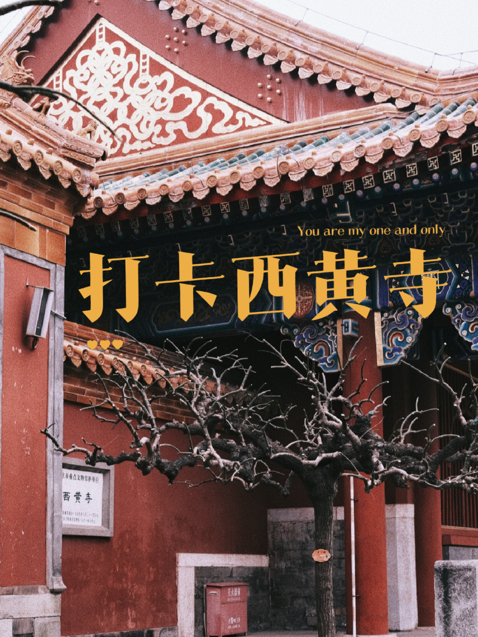 在西黄寺博物馆公众号预约,记住上个闹铃,提前7天,凌晨12点放号仅每