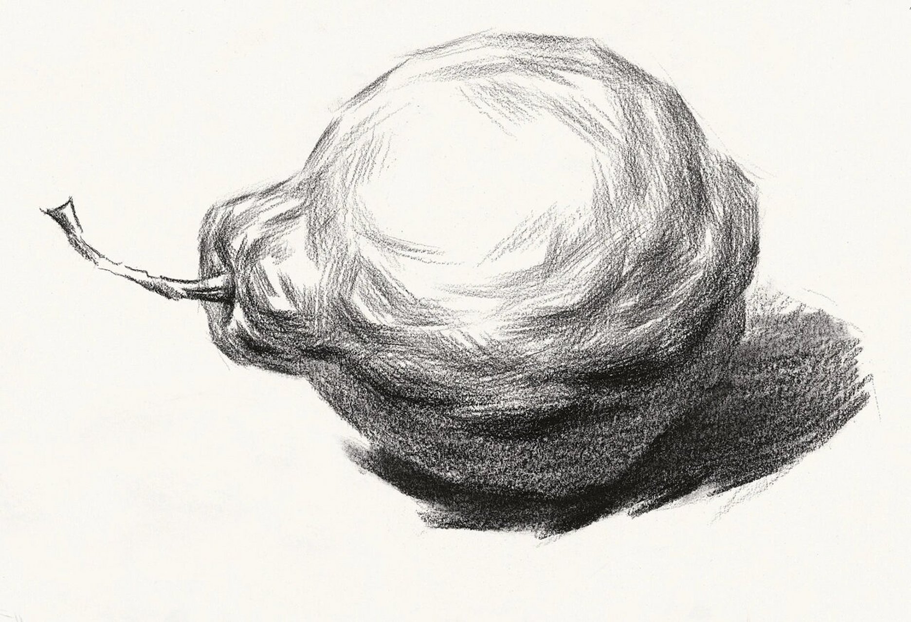 素描基础干货教学(梨) 梨子与苹果一样,也是静物考试中常见的题材.