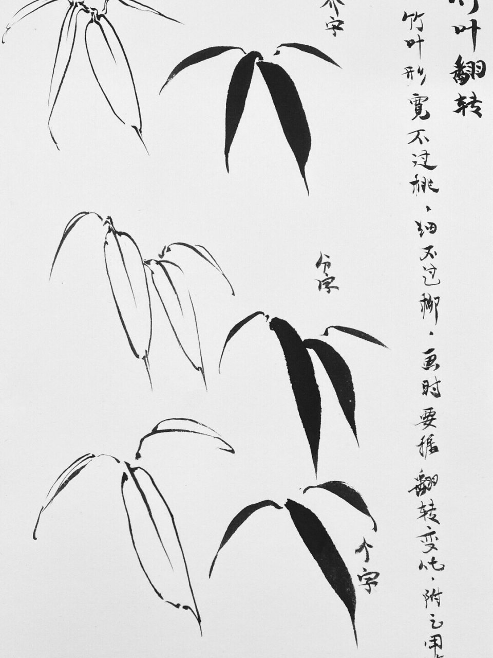 国画花鸟 竹叶画法 分享一波竹叶的课堂笔记