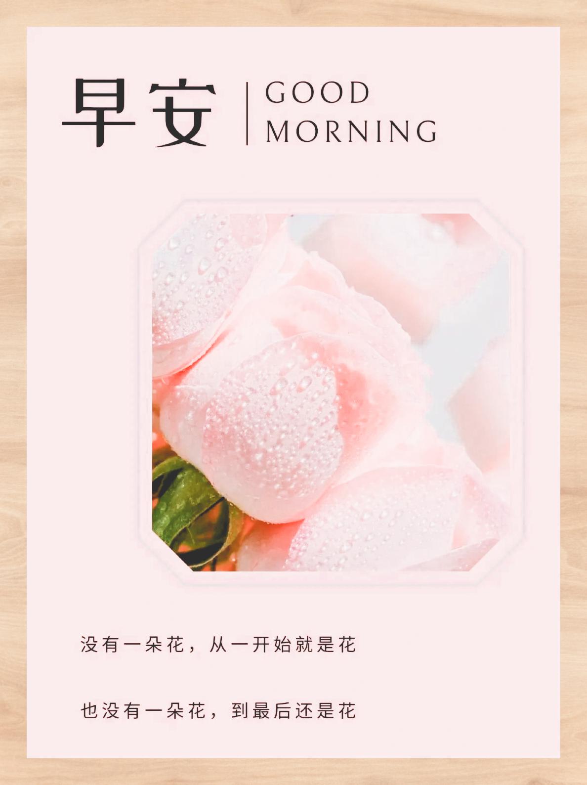 晨光熹微 正能量早安唯美启航 7893 每个清晨醒来,都像是收到一份
