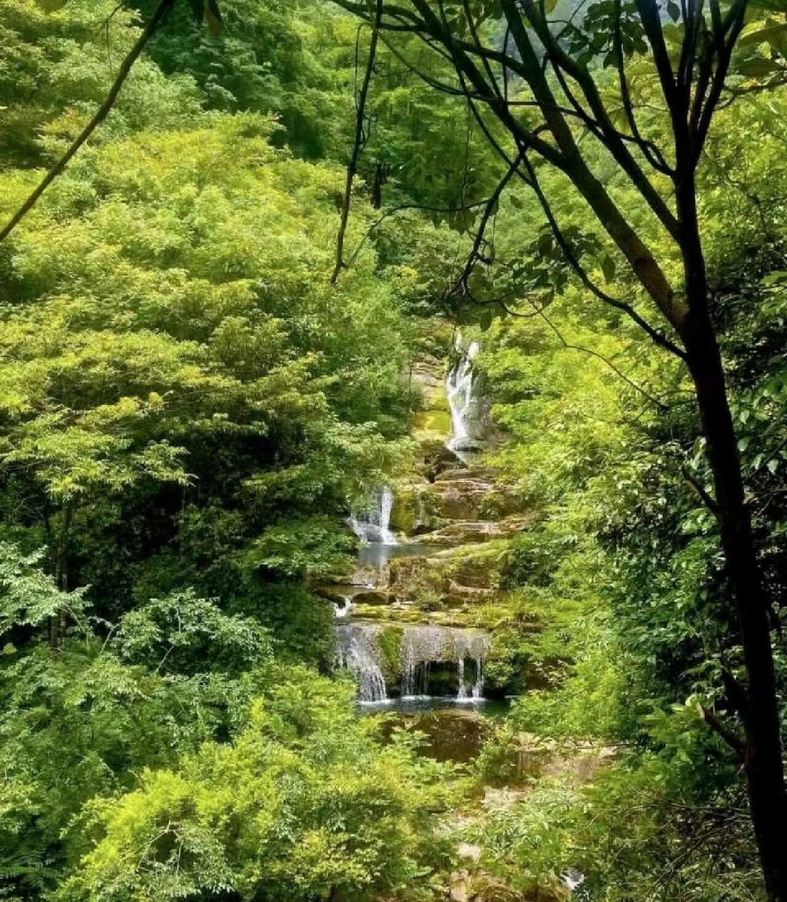 99地址:江油市厚坝镇枫顺乡藏龙潭风景区 7815景区约4