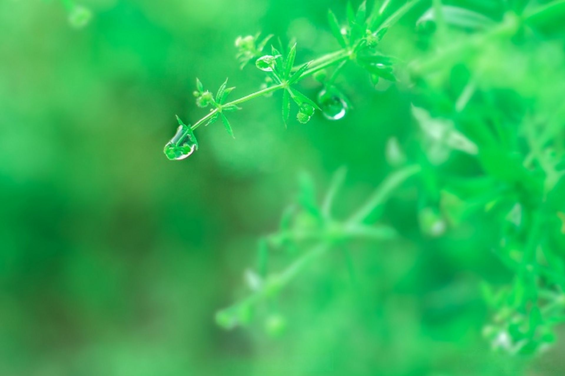 天气早参考#【雨继续下 气温有所下降】今日白天到